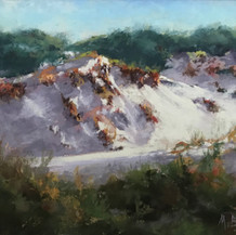 Dunes of Watersound | Pastel | 9 x 12