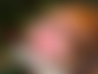 HOLIDAY RECIPES THAT STEAL THE SHOW