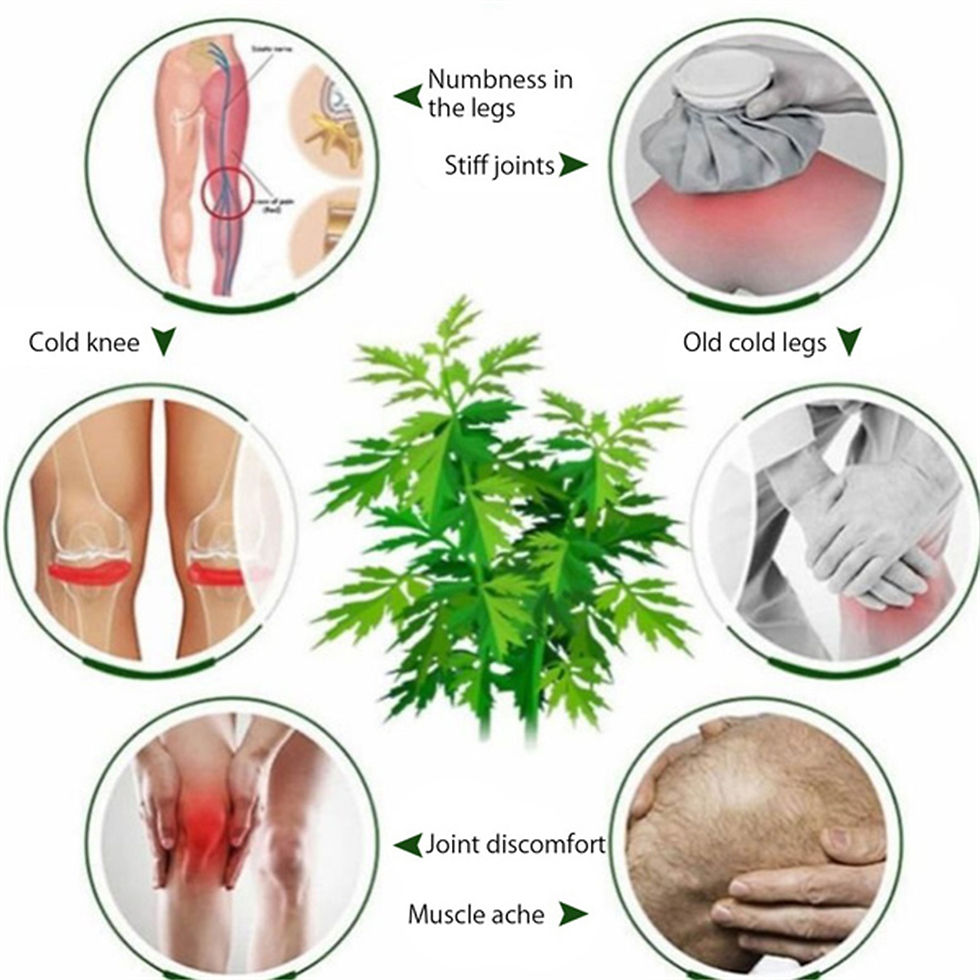 Thumbnail: Wormwood Knee Pads Self Heating Four Sided Elasticity To Keep Warm Old Cold Legs