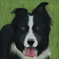 IMG_0803 (1).png