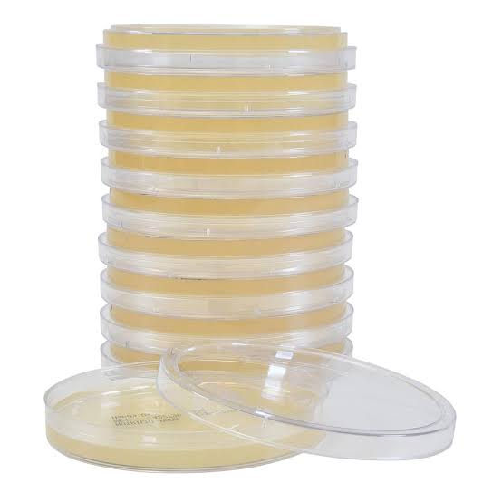 PSA (Pseudomonas aeruginosa) Besiyeri