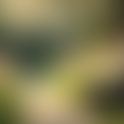 Embracing Women's Holistic Wellness: A Journey to Wholeness