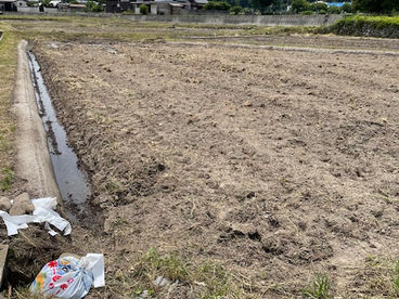 米作りに挑戦!(その1)