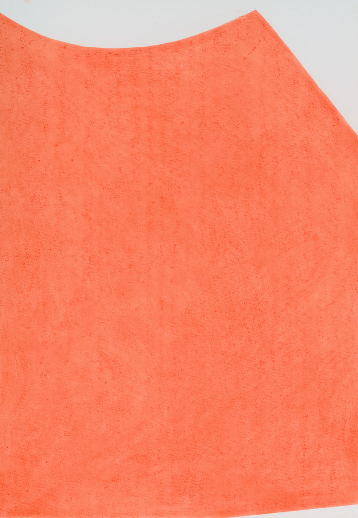 06. Light Cadmium Red (117), 2022.jpg
אלכסנדרה צוקרמן
alexandra zuckerman artist