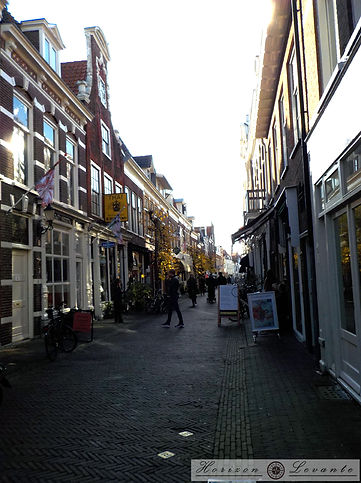 16 Haarlem.JPG