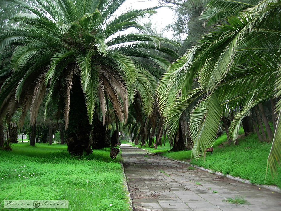 DSCN5043.JPG