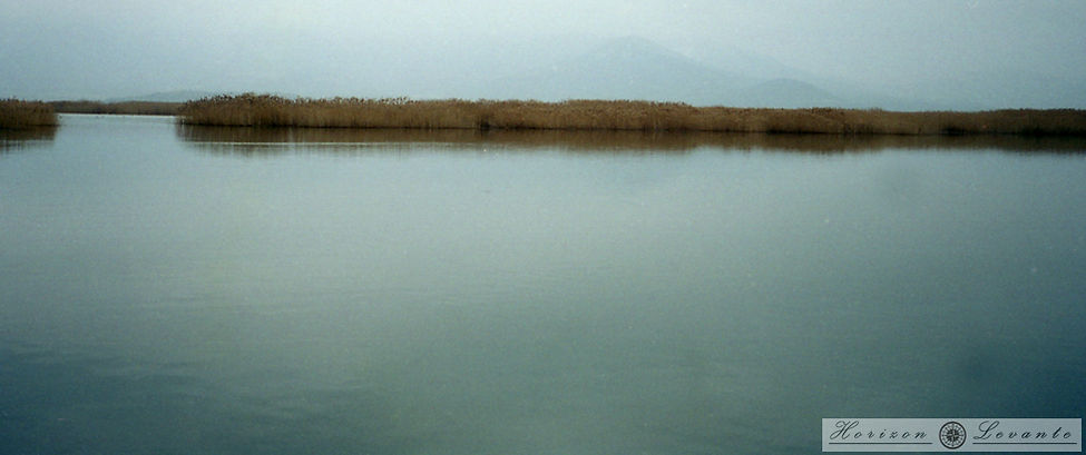 img203.jpg