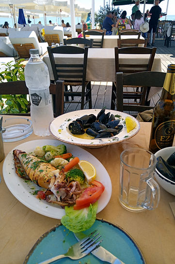 6 Σπίνος Καλλικράτεια.jpg