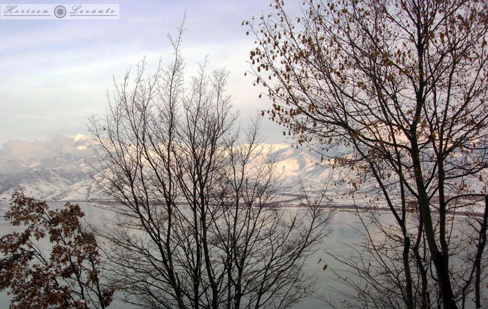 DSCN3586.jpg