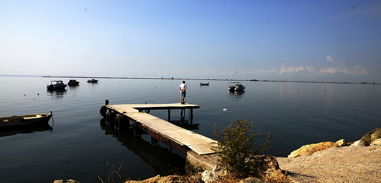 3 Δέλτα Αξιού.JPG