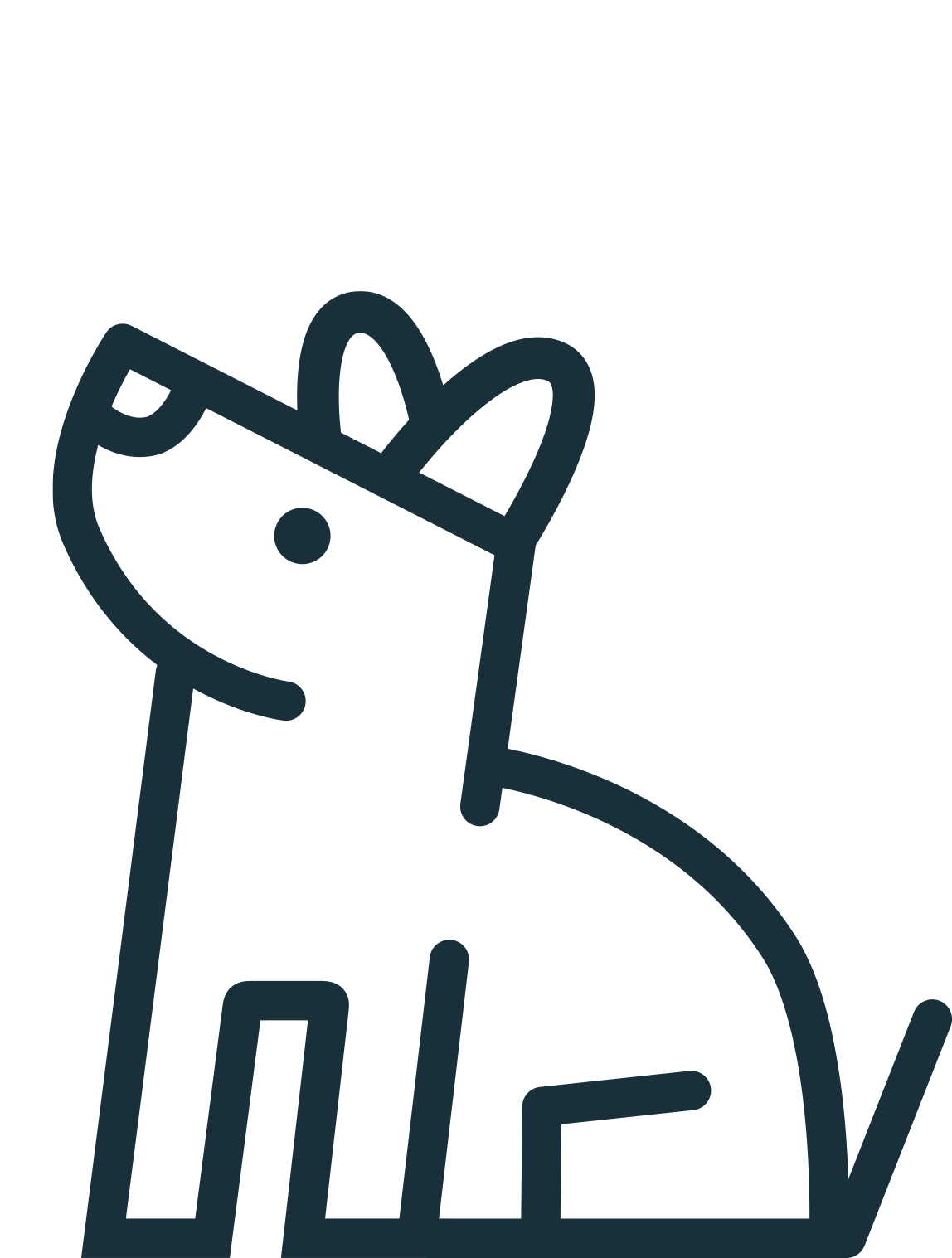 20-06-05_TOP_Wilson_Herz.gif