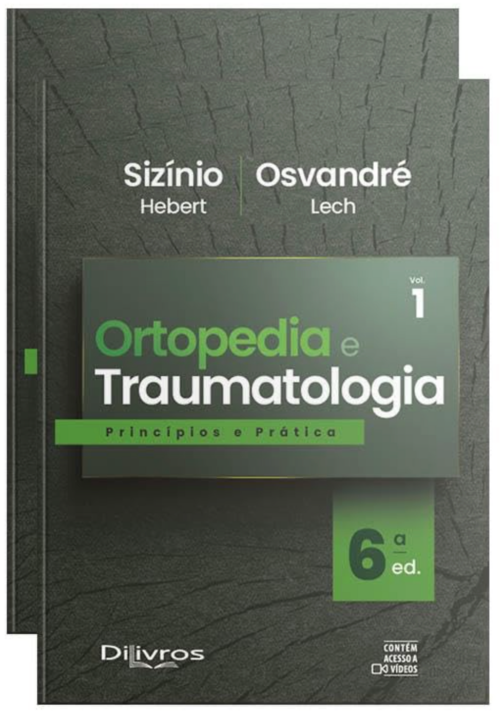 Autores: Sizínio Hebert, Osvandré Lech