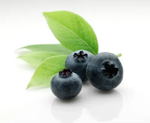 blueberry