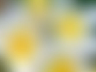 " बीते हुए कल के लिए पछतावा क्यो ?"