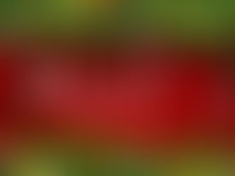 कविता "मुबारक हो क्रिसमस"