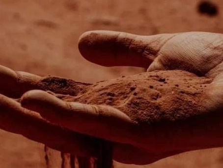 कविता " कोई नही पास होता है "