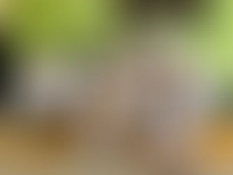 LA ASOCIACIÓN DE DAMAS VOLUNTARIAS – SUCURSAL NORTE, CONCLUYÓ CON ÉXITO EL TALLER MINI CHEF