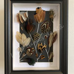 Composition de plumes encadrée.