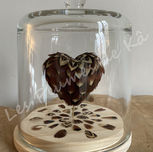 Cœur de plumes dans une cloche de verre, Les Plumes de Kâ