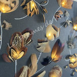 Décoration de plumes lumineuses, Les Plumes de Kâ.