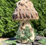 Champignon décoratif des Plumes de Kâ.