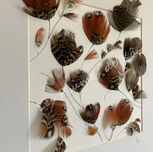 Composition artistique de plumes pour Les Plumes de Kâ.