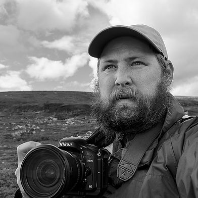 Björn Dahlfors