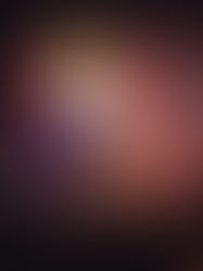 Le Ninkasi Musik Lab fête ses 10 ans d’engagement pour la scène émergente à Lyon