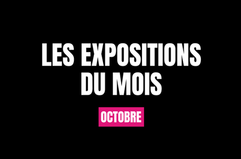 Les expositions du mois d'octobre à Lyon