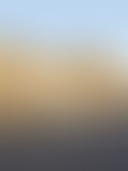 Ce musée lyonnais sera gratuit pour les célibataires pour une semaine