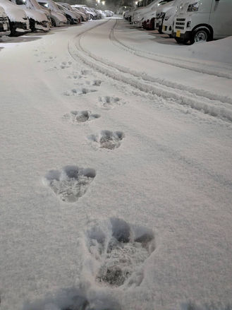 大雪を子供も大人も満喫！謎の足跡を発見！