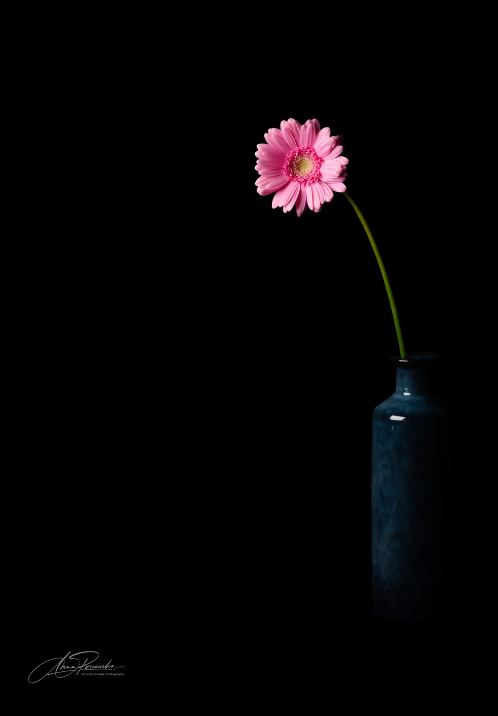 047A9203-Enhanced-NR.jpg