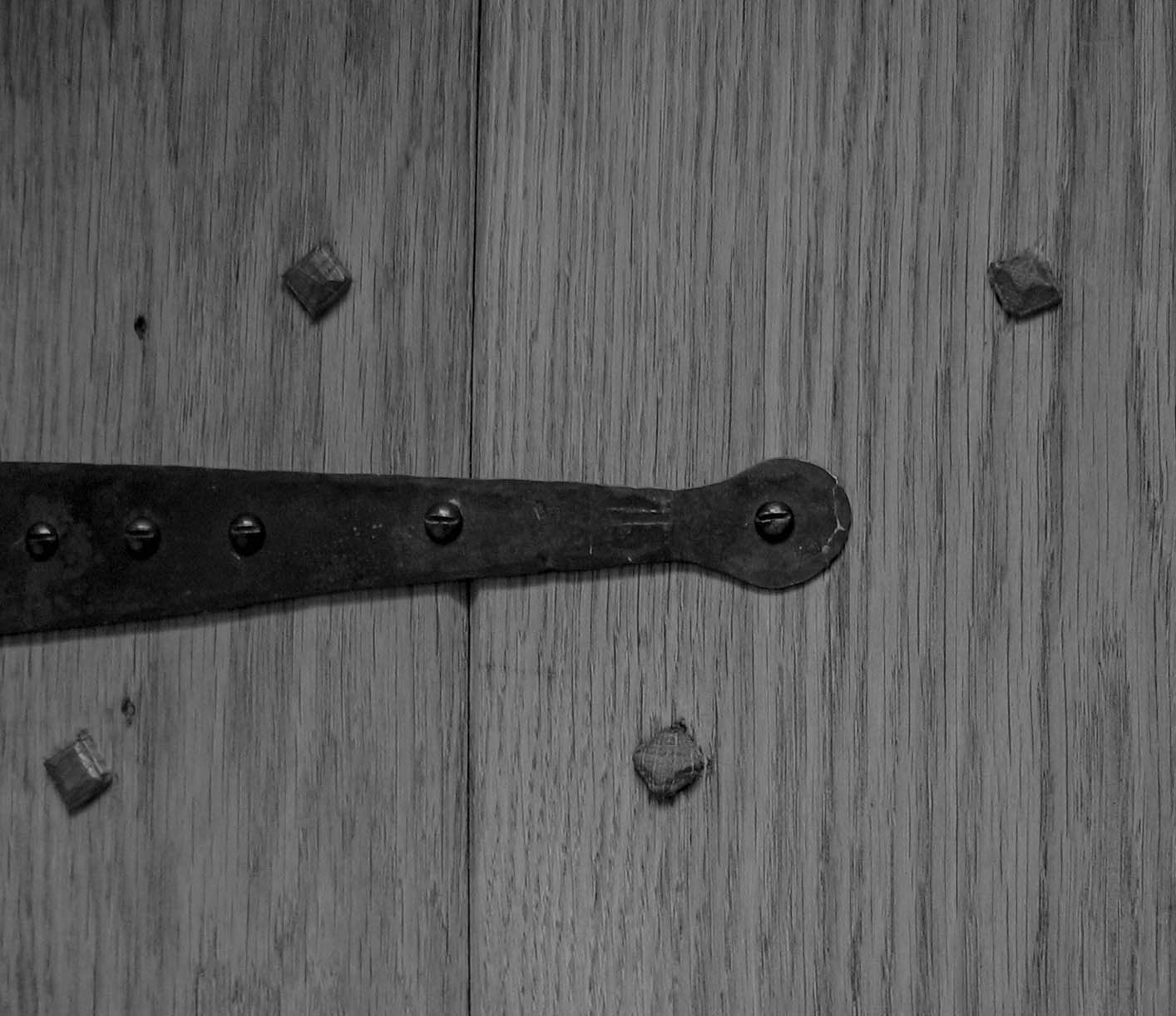 Oak Pegs and Hinge