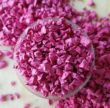 FUCSIA T 104.JPG