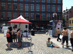 Carrera Sunglasses - NYC