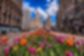 Michicigan Avenue Spring.jpg