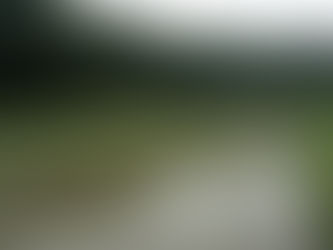 田植え