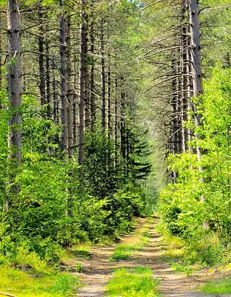 Ontario3_009.webp