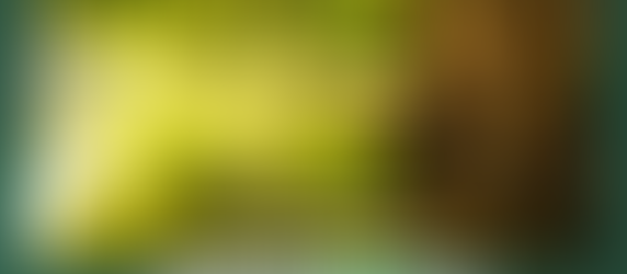 Dream Interpretation of Tree