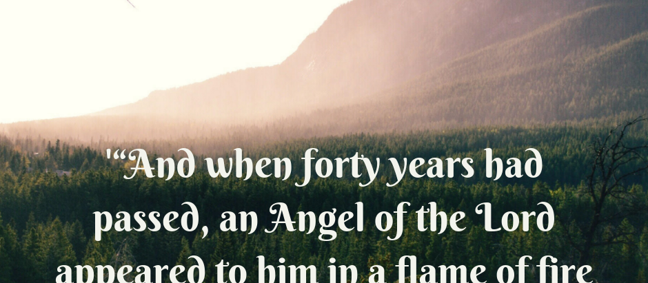 Dream Interpretation of Forty