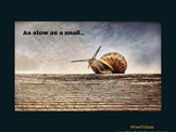 Dream Interpretation of Snail