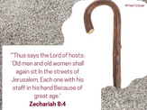 Dream Interpretation of Walking Stick