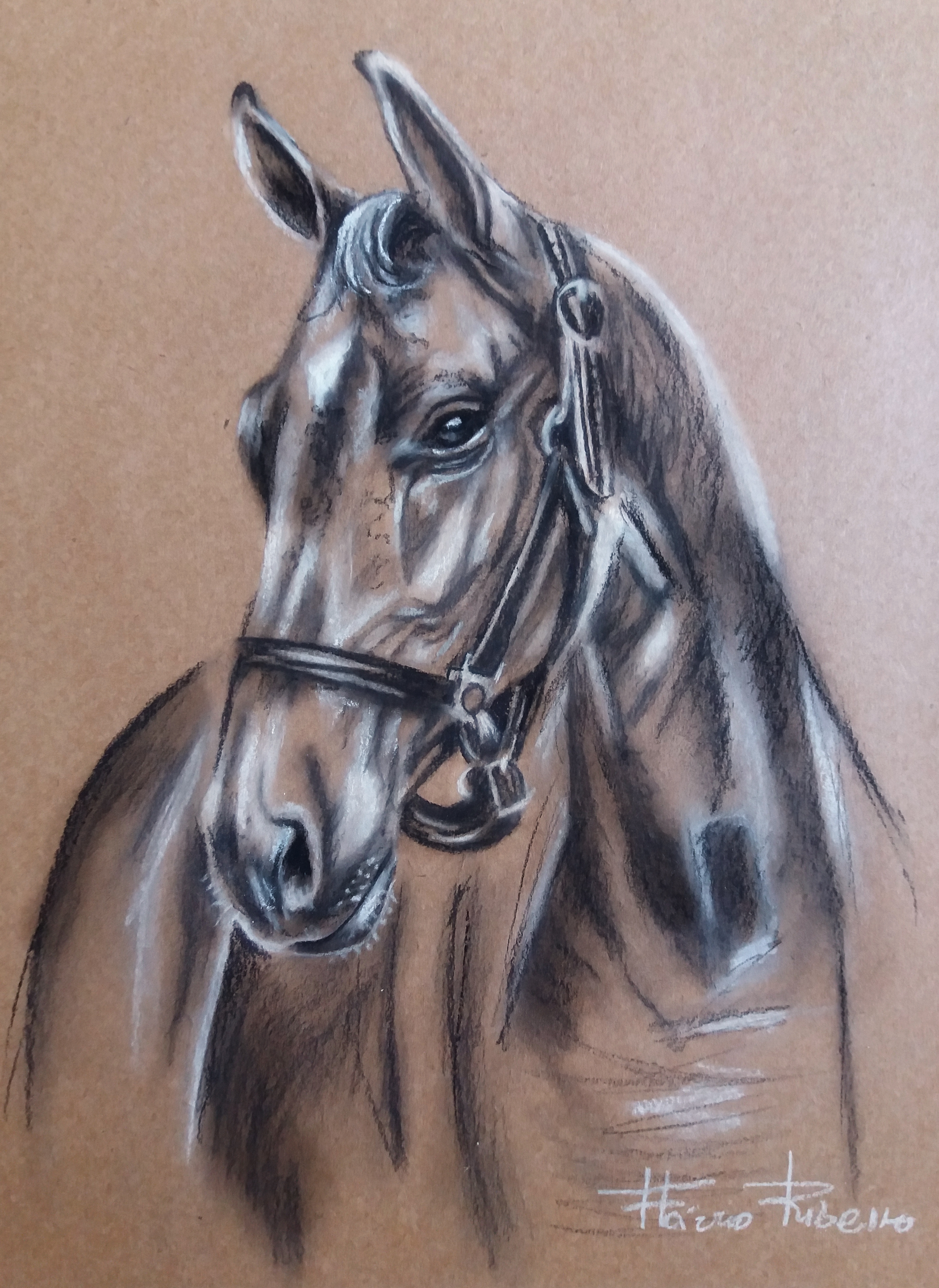 Cabeça de cavalo