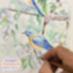 aquarela passarinho Flávio Ribeiro processo da pintura