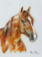 cabeça_de_cavalo_pintura_de_Flavio_Ribeiro