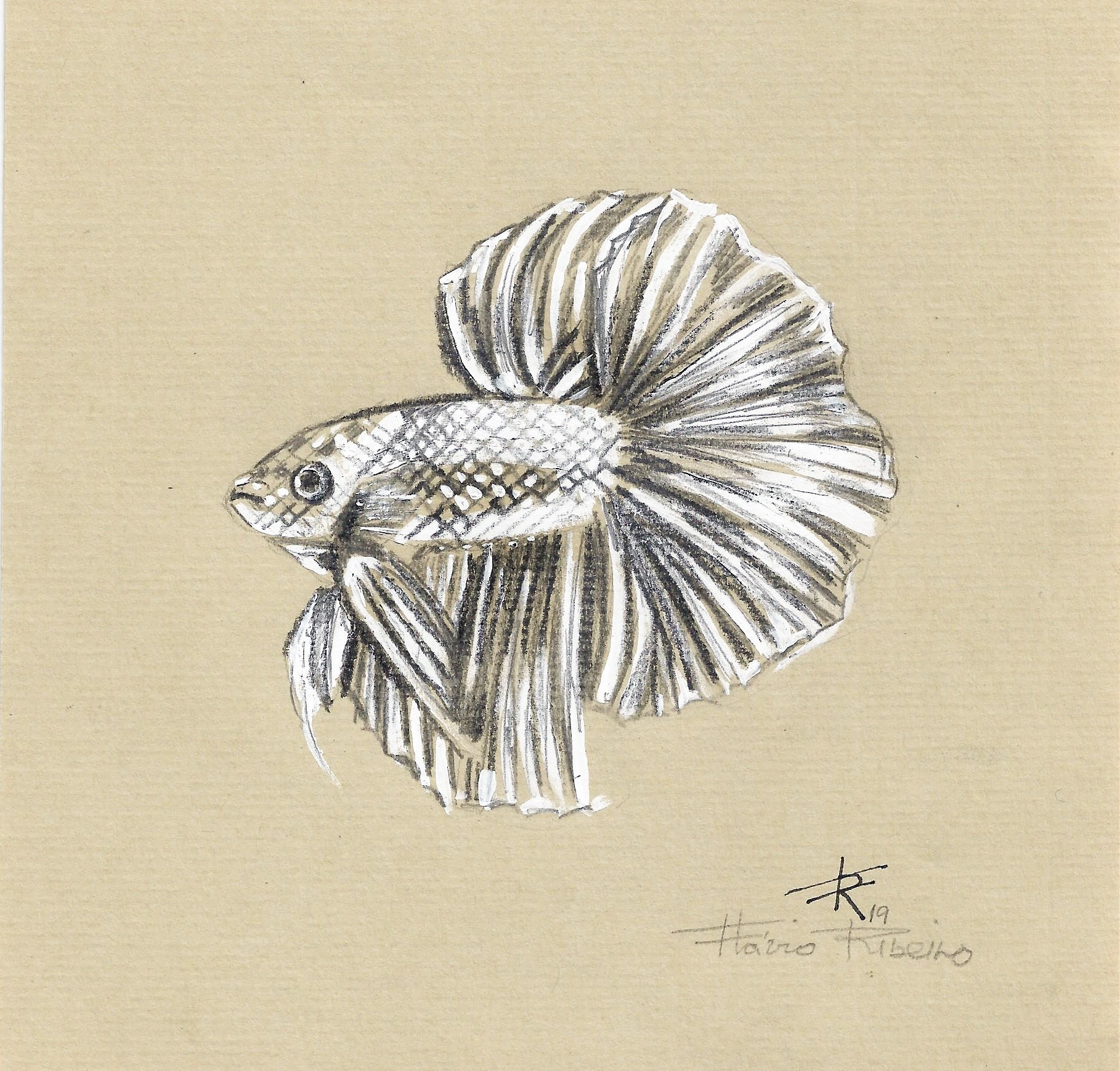 peixe 1