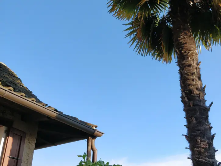 ferienhaus in der schweiz, im tessin, der süd-schweiz, es ist ein altes Steinhaus, ein sogenanntes Rustico, wir wollen dieses haus für interessierte reisende, für touristen, für urlaubssuchende präsentieren. das steinhaus schmiegt sich an einen Hang der Südalpen, ist umgeben von bergen, und man blickt hinunter auf den See Lago maggiore. das grundstück, der garten ist eine kleine in sich geschlossene Welt, voll mediterraner pflanzenpracht, voller palmen, kamelien und azaleen, voller geschützter sitzplätze, sei es unter einer Wein-Pergola oder auf der erhöhten Aussichtsterrasse, es ist ein ort um die Natur, die landschaft, die ruhe, die berge, den see, das mittelmeer-klima in sich aufzunehmen. ein ort an dem das herz sagt "la vita é bella"