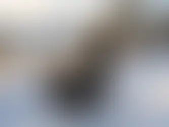 Lastenrad-Fahren im Winter