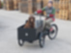 mini-20241017_083314