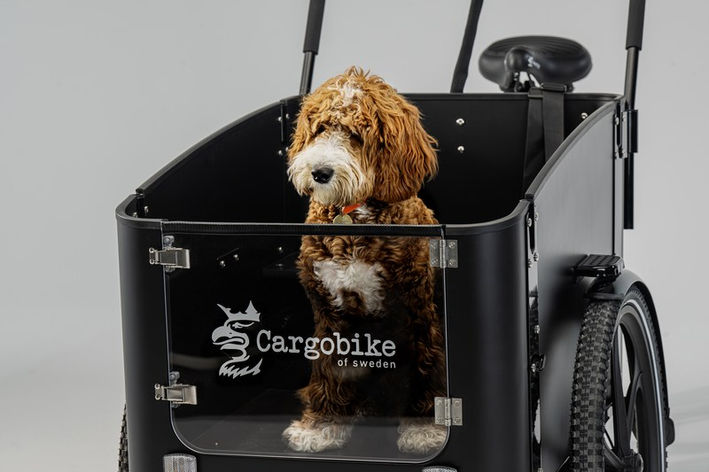 Lastenrad Cargobike of Sweden im Einsatz, E-Bike, Transport, Kinder, Hund, Einkauf
